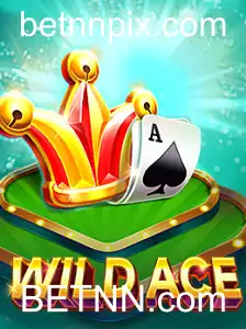 Explorando WildAce: Tudo o que Você Precisa Saber sobre o Novo Jogo em BETNN.com